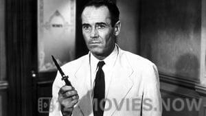 12 Angry Men