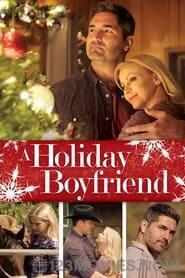 A Holiday Boyfriend