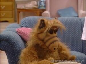 ALF Season 1 Episode 16