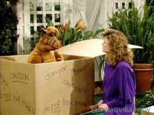 ALF Season 2 Episode 15