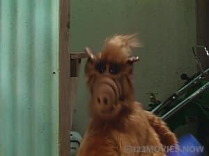 ALF Season 2 Episode 15