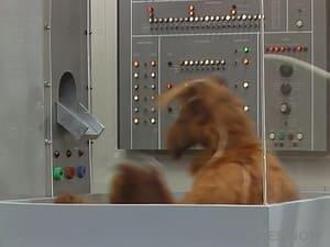 ALF Season 2 Episode 24