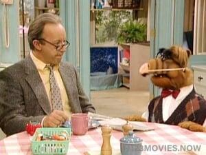 ALF Season 2 Episode 6