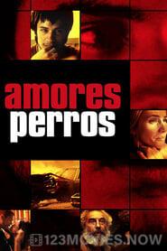 Amores perros