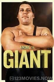 Andre the Giant