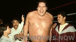 Andre the Giant