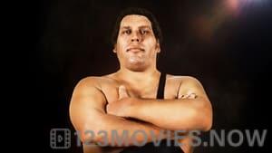 Andre the Giant