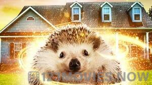 Andy the Talking Hedgehog