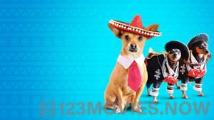 Beverly Hills Chihuahua 3: Viva la Fiesta!