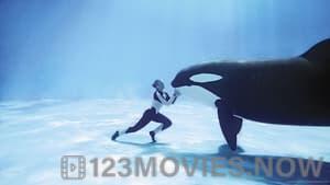 Blackfish