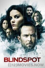 Blindspot Season 5 Episode 11