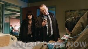 Blue Bloods Season 7 Episode 13