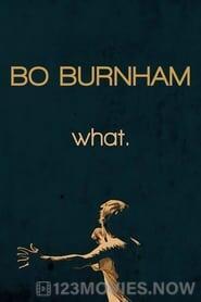 Bo Burnham: What.