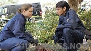 Bones Season 12 Episode 4