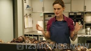 Bones Season 4 Episode 10