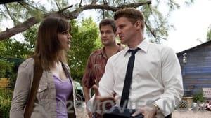 Bones Season 6 Episode 19