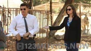 Bones Season 8 Episode 4