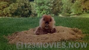 Caddyshack