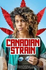 Canadian Strain