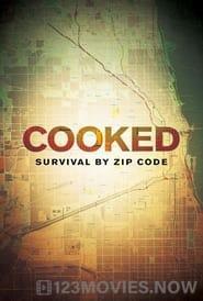 Cooked: Survival by Zip Code