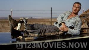 Cool Hand Luke