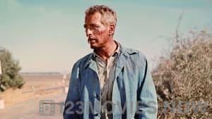 Cool Hand Luke