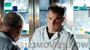 CSI: Crime Scene Investigation Season 15 Episode 12