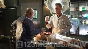 CSI: Crime Scene Investigation Season 15 Episode 14