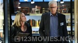 CSI: Crime Scene Investigation Season 15 Episode 9