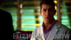 CSI: Miami Season 5 Episode 11