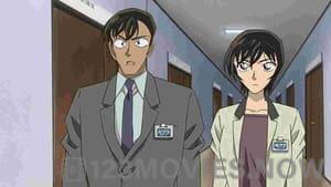 Detective Conan Movie 13: The Raven Chaser