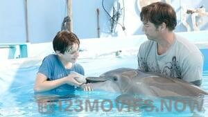 Dolphin Tale