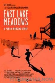 East Lake Meadows: A Public Housing Story