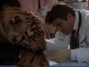 ER Season 1 Episode 17