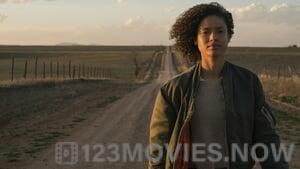 Fast Color