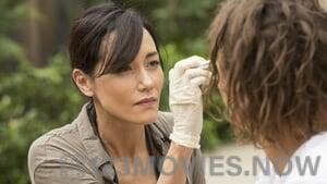 Fear the Walking Dead Season 1 Episode 4