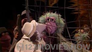 Fraggle Rock Season 2 Episode 17