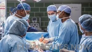 Grey’s Anatomy Season 12 Episode 13