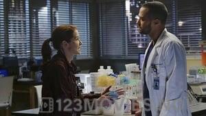 Grey’s Anatomy Season 12 Episode 15