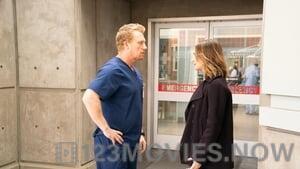 Grey’s Anatomy Season 15 Episode 13