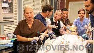 Grey’s Anatomy Season 15 Episode 13