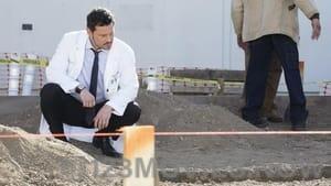 Grey’s Anatomy Season 16 Episode 6