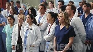 Grey’s Anatomy Season 6 Episode 13