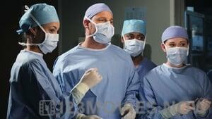 Grey’s Anatomy Season 7 Episode 12