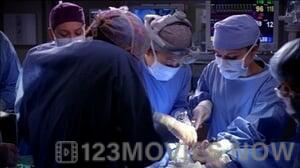 Grey’s Anatomy Season 9 Episode 14