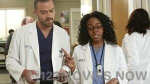 Grey’s Anatomy Season 9 Episode 14