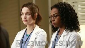 Grey’s Anatomy Season 9 Episode 14