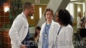 Grey’s Anatomy Season 9 Episode 14