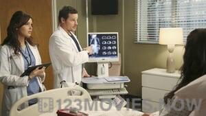 Grey’s Anatomy Season 9 Episode 15