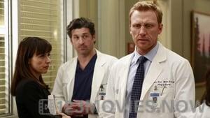 Grey’s Anatomy Season 9 Episode 15